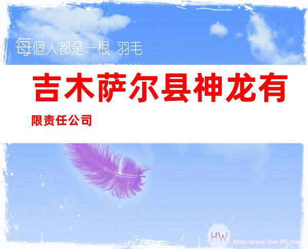 吉木萨尔县神龙有限责任公司