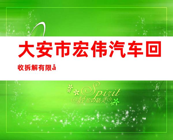 大安市宏伟汽车回收拆解有限公司